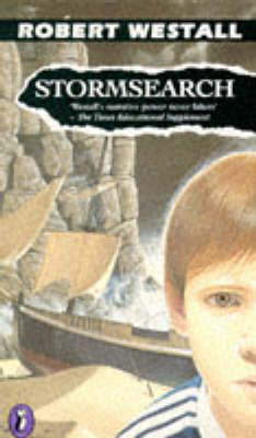 Book cover for Stormsearch