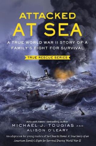 Cover of Attacked at Sea