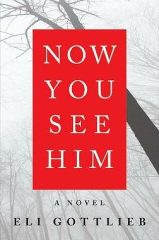 Cover of Now You See Him