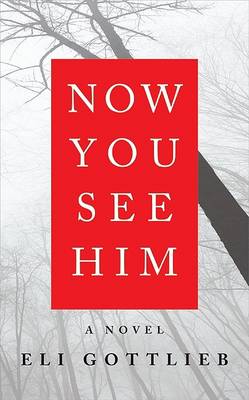 Book cover for Now You See Him