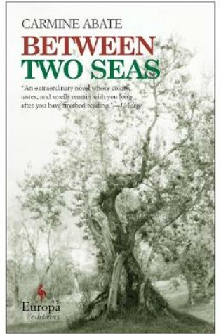 Cover of Between Two Seas