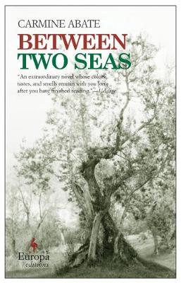 Book cover for Between Two Seas