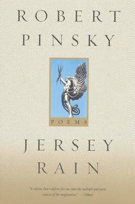 Book cover for Jersey Rain