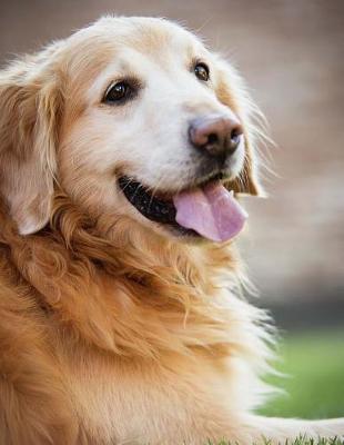 Book cover for Golden Retriever