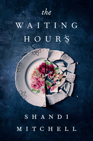 Cover of The Waiting Hours