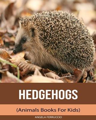 Book cover for Hedgehogs (Animals Books For Kids)