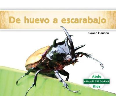 Book cover for de Huevo a Escarabajo (Becoming a Beetle)