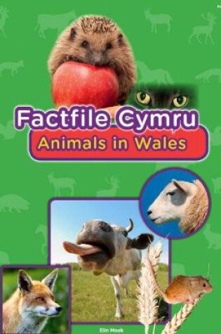 Cover of Factfile Cymru: Animals in Wales