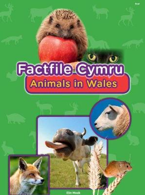 Book cover for Factfile Cymru: Animals in Wales