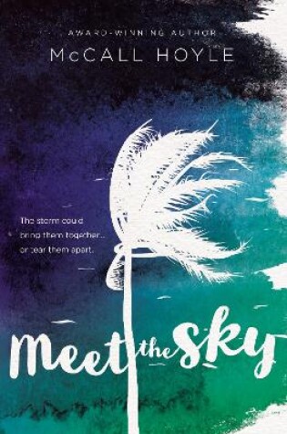 Cover of Meet the Sky