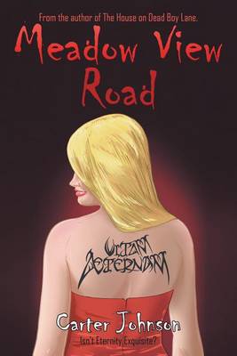 Book cover for Meadow View Road