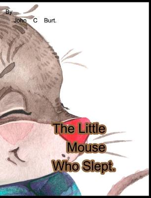 Book cover for The Little Mouse Who Slept.