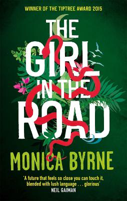 Book cover for The Girl in the Road