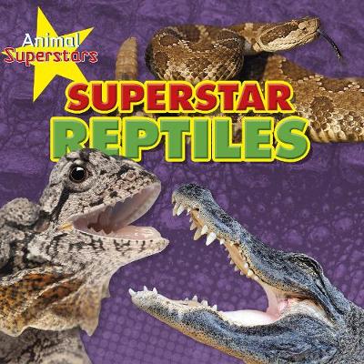 Book cover for Reptile Superstars