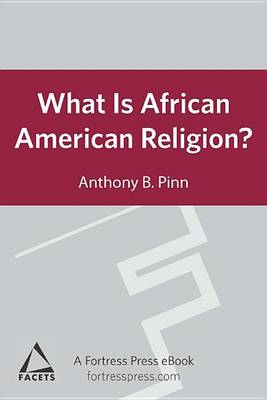 Book cover for What Is African American Religion?