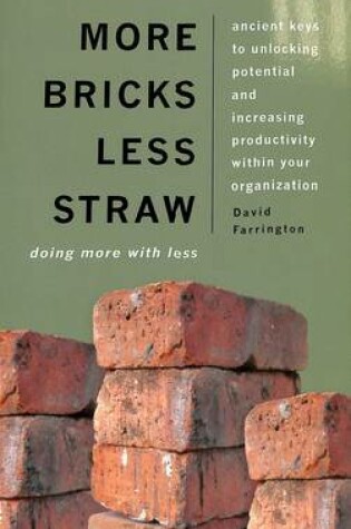 Cover of More Bricks Less Straw