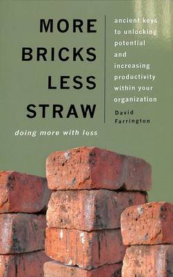 Book cover for More Bricks Less Straw