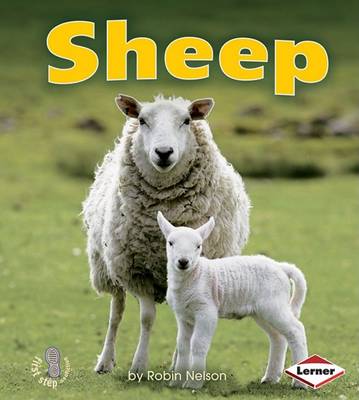 Book cover for Sheep