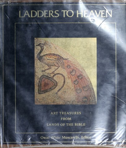 Book cover for Ladders to Heaven