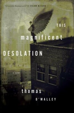 Cover of This Magnificent Desolation