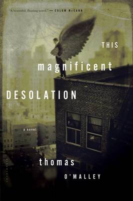 Book cover for This Magnificent Desolation
