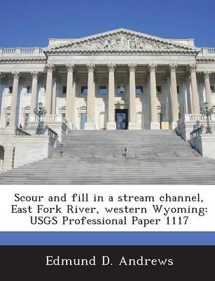 Book cover for Scour and Fill in a Stream Channel, East Fork River, Western Wyoming