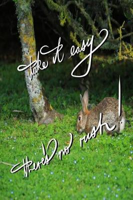 Book cover for Take it easy, There's no rush