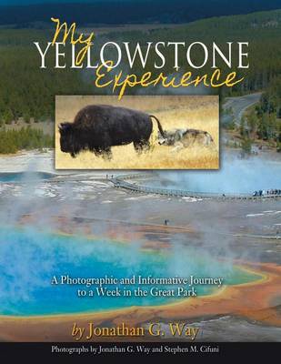 Book cover for My Yellowstone Experience