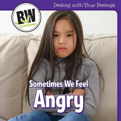 Book cover for Sometimes We Feel Angry