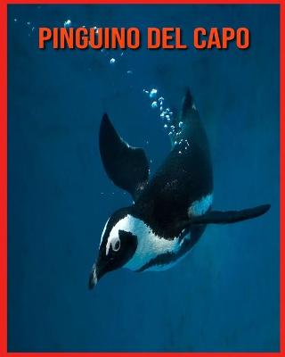 Book cover for Pinguino del Capo