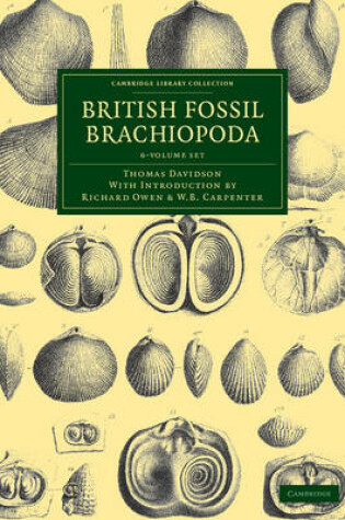 Cover of British Fossil Brachiopoda 6 Volume Set