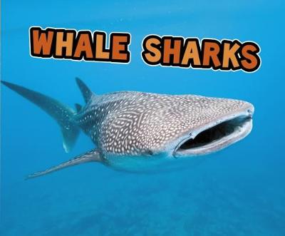 Cover of All About Sharks Pack A of 4