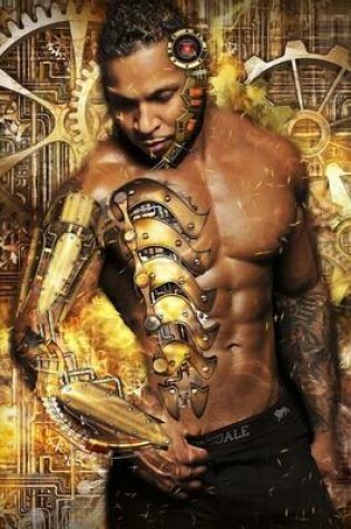 Cover of My Hot Steampunk Imaginary Boyfriend Journal