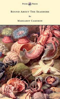 Book cover for Round About The Seashore - With Eight Coloured Pictures