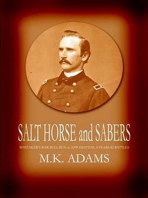 Book cover for Salt Horse and Sabers