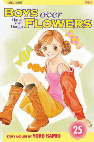 Cover of Boys Over Flowers, Volume 25