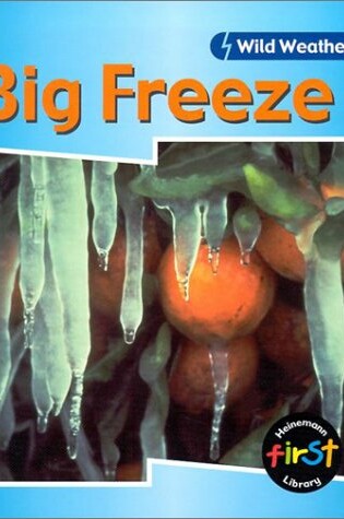 Cover of Big Freeze