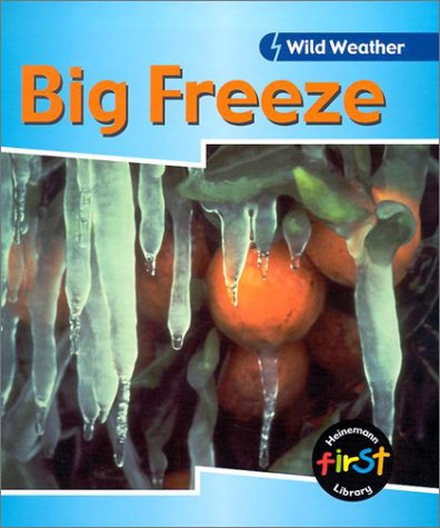 Book cover for Big Freeze