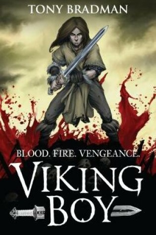 Cover of Viking Boy