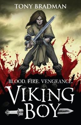 Book cover for Viking Boy