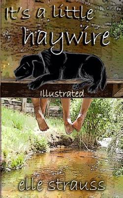 Book cover for It's a Little Haywire