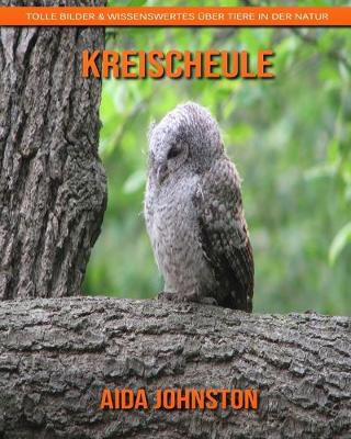 Book cover for Kreischeule