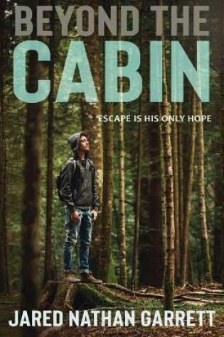 Cover of Beyond the Cabin