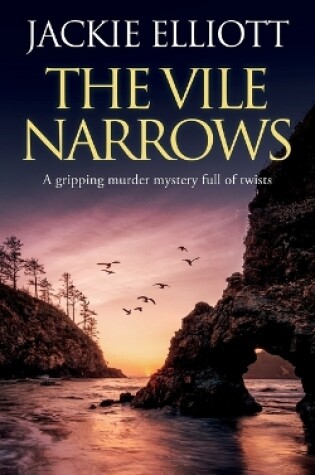 Cover of THE VILE NARROWS a gripping murder mystery full of twists