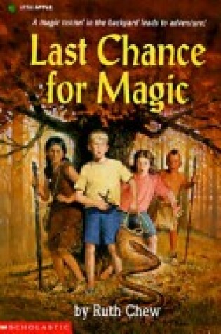 Cover of Last Chance for Magic