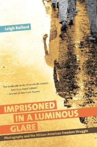 Cover of Imprisoned in a Luminous Glare