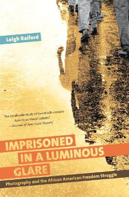 Book cover for Imprisoned in a Luminous Glare