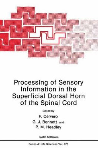 Cover of Processing of Sensory Information in the Superficial Dorsal Horn of the Spinal Cord