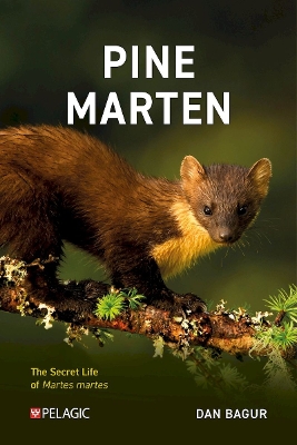 Cover of Pine Marten