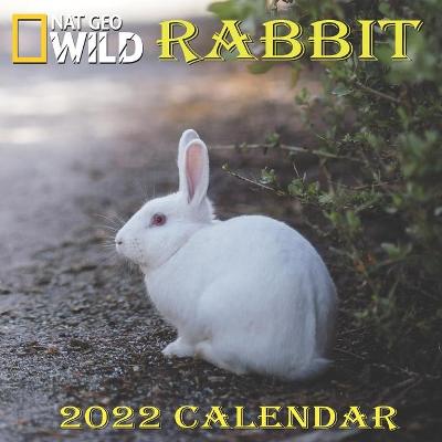 Book cover for Rabbit Calendar 2022